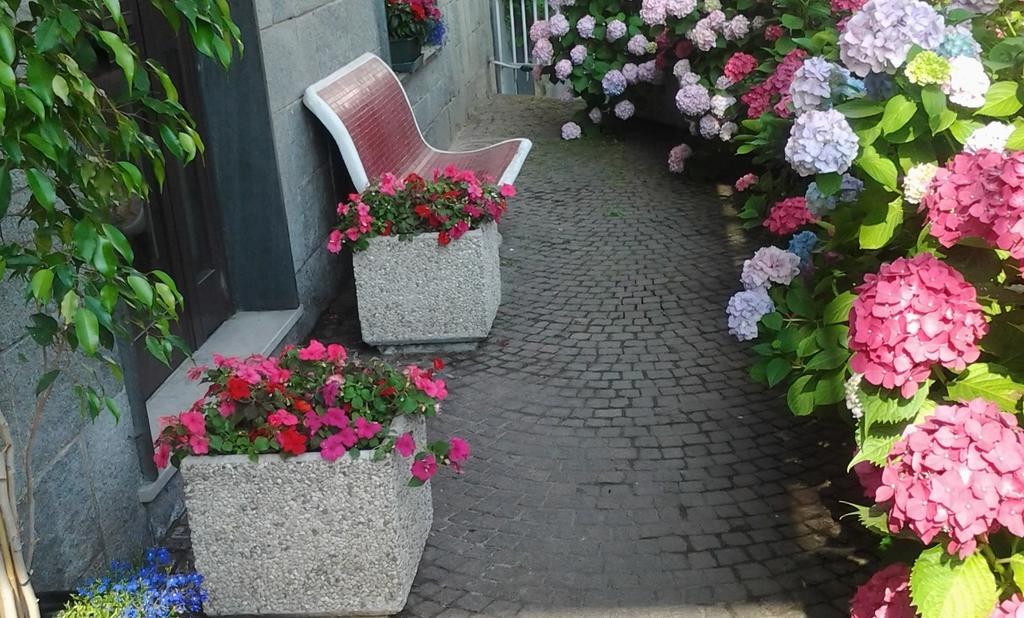 Casa Delle Ortensie Bed & Breakfast Alpignano Luaran gambar